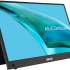 Asus ZenScreen MB16AHG 15.6 "