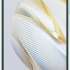 Huawei Nova 10 SE 256 Гб Зеленый