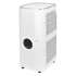 Кондиционер мобильный Electrolux Ice Column EACM-20 JK/N3 белый