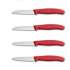 Набор кухонных ножей Victorinox Swiss Classic Paring 6.7111.6G
