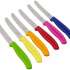 Набор кухонных ножей Victorinox Swiss Classic Tomato and Table Knife 6.7839.6G