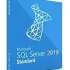 ПО Microsoft SQL Server Standard 2019 English DVD 10 Clt (228-11548)