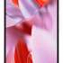 Смартфон GOOGLE Pixel 9 Pro XL 16/256Gb,  розовый