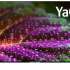 Телевизор Hyundai H-LED65BU7003 65&quot; LED 4K Ultra HD
