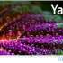 Телевизор LED BBK 40&quot; 40LEX-7241/FTS2C (W) YaOS белый FULL HD 60Hz DVB-T2 DVB-C DVB-S2 USB WiFi Smart TV (RUS)