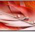 Телевизор LED Sony 75&quot; XR-75X90J BRAVIA черный 4K Ultra HD 100Hz DVB-T DVB-T2 DVB-C DVB-S DVB-S2 USB WiFi Smart TV