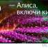 Телевизор StarWind SW-LED55UG403 55&quot; LED 4K Ultra HD