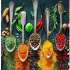 Водонагреватель проточный Ballu Fiery Glass Curry GWH 10,  газовый