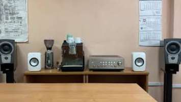 Elton John "Blessed" - KEF LSX