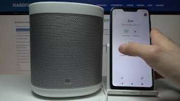 Как настроить евалайзер на Xiaomi Mi Smart Speaker? / настройка equalizer - Xiaomi Mi Smart Speaker
