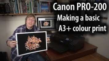 Canon PRO-200: Printing a basic A3+ colour print [13" x 19"]
