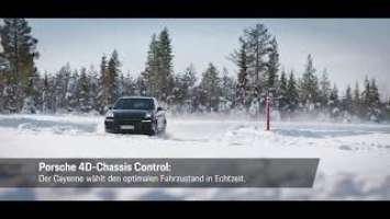 Michelin Pilot Alpin 5 SUV