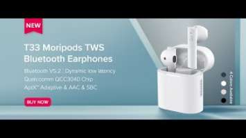 The 1st Model of Haylou with Aptx Adaptive Function: Haylou T33 Moripods