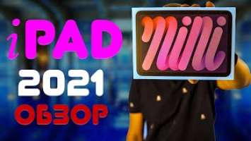 Обзор iPad mini 2021  Опыт использования нового айпад мини 6 Плюсы и минусы нового планшета от эпл