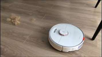 Xiaomi Roborock S7 не справился шерстью кота