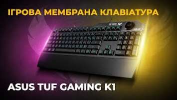 ASUS TUF Gaming K1 — ігрова мембранка за доступною ціною