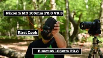 Nikon Z MC 105mm F2.8 VR S. First look at the Z 105mm Micro Lens. Picture /Video samples.