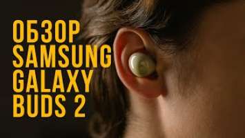 Обзор Samsung Galaxy Buds 2: лучшие наушники в своём сегменте