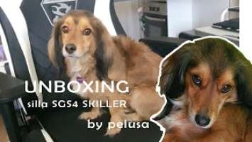 unboxing silla_gamer_SKILLER_SGS4 by pelusa