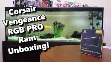 Corsair Vengeance RGB PRO Ram Unboxing!