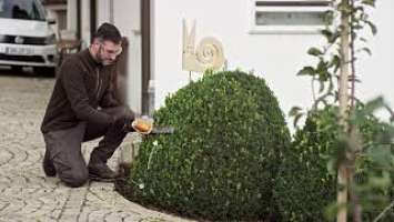 Кусторез STIHL HSA 26 обзор