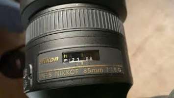 Blazing fast Nikon D6 Auto Focus (3D tracking in viewfinder)