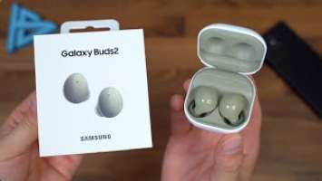 Samsung Galaxy Buds 2 Unboxing!