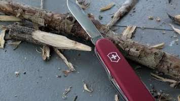 Swiss Army Sunday  the Sportsman - Let’s check out the Sportsman an awesome choice for EDC.