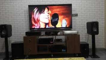 POLK AUDIO S20 SIGNATURE SPEAKERS #shorts #yohaninewsong #manikemagehithe
