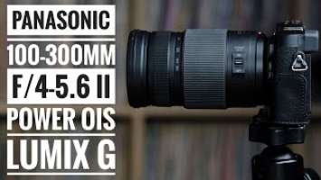 Panasonic 100-300mm f4.0-5.6 II  POWER O.I.S. LUMIX G