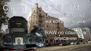 Canon RF 16 mm F2.8 STM. Первый взгляд на кота в мешке.