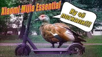 Электросамокат Xiaomi Electric Scooter Essential -Новинка 2020г
