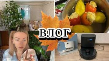 VLOG: ВЕШАЮ ШТОРЫ/ГОТОВИМ ПЕРЦЫ/УРОКИ КРАСОТЫ с FABERLIC/РОБОТ Roidmi EVE Plus