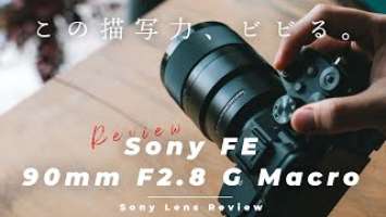 僕がいま一番ハマっているレンズがこれ。【Sony 90mm F2.8 Gレビュー】