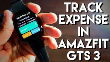 Track Expense in Amazfit Gts 3 Smart Watch