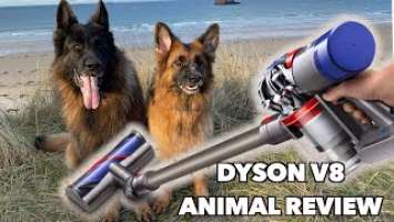 Review of the Dyson V8 Animal