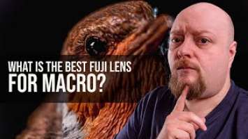 Fujifilm 60mm F2.4 Or 80mm F2.8 - Best Fuji Macro Photography Lens?