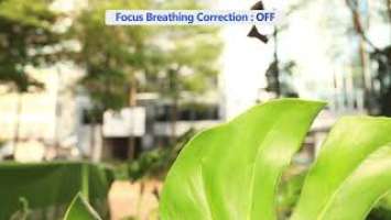 Canon RF 28mm F2.8 STM breathing test, shot with Canon EOS R8