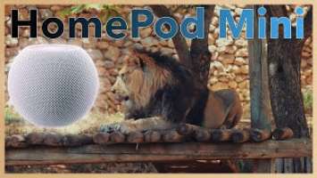 Unboxing HomePod Mini! Mini Speaker With Big Sound