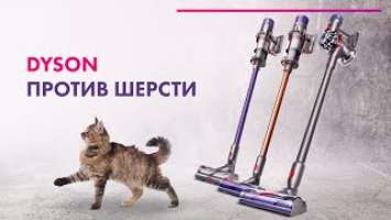 Dyson V8 Animal+, V10 Animal, V7 Animal Extra  Большой обзор + ТЕСТ