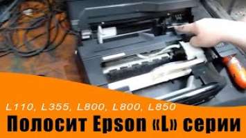 Полосит Epson L222, L110, L355, L800, L800, L850 и другие "L" серии.