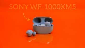 Sony WF-1000XM5 Review - Smaller & Lighter But Better?