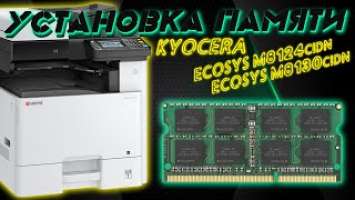 Установка памяти в МФУ Kyocera ECOSYS M8124cidn и M8130cidn