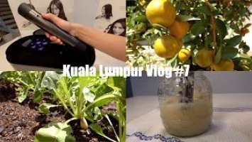 Malaysia Vlog | Dyson pure cool & airwrap unboxing | Making fresh tangerine drink & sauerkraut
