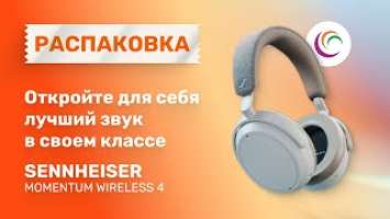 Откройте для себя лучший звук в своем классе с Sennheiser Momentum Wireless 4.