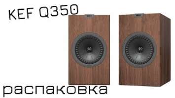 Распаковка полочной акустики Kef Q350
