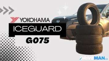 Yokohama iceGUARD G075