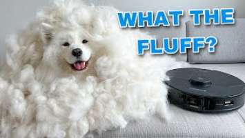 My Dog Tries To Destroy Our New Robot Vacuum | Roborock S7 MaxV Ultra