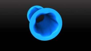Twisted Flare Port