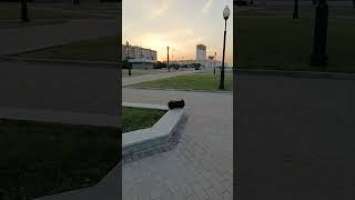 Sony SRS XG500 outdoors max volume sound test